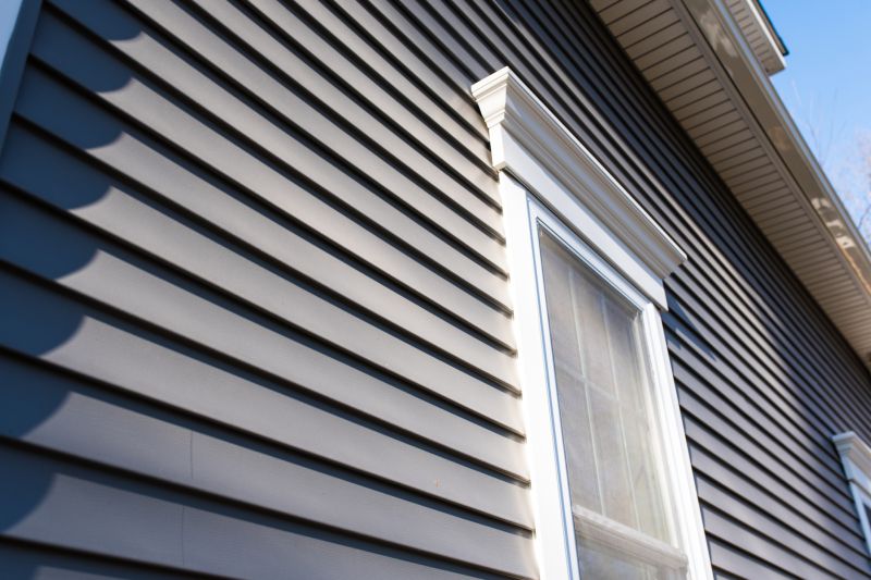 Siding Replacement Options